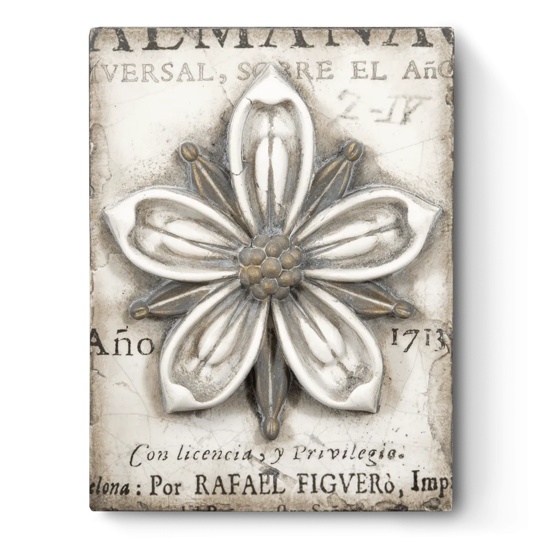 T-449 Cosmopolitan Flower